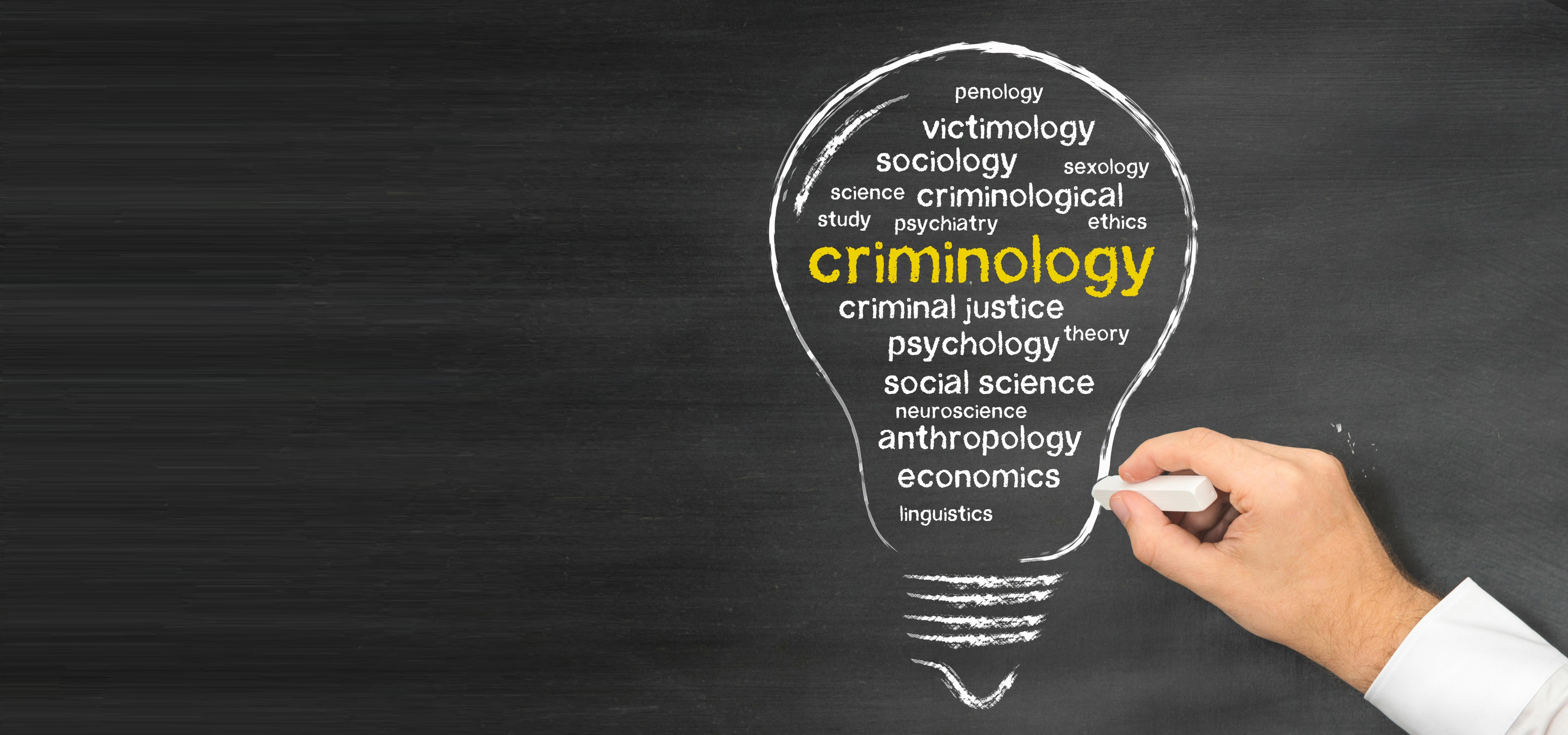 Criminology word cloud drawn inside a light bulb on a chalkboard
