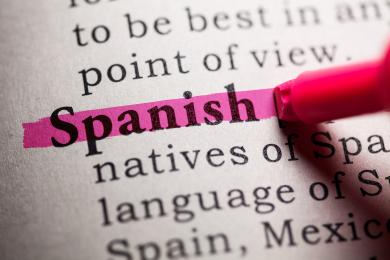 Partial view of a dictionary definition of Spanish, with the word Spanish being highlighted in pink
